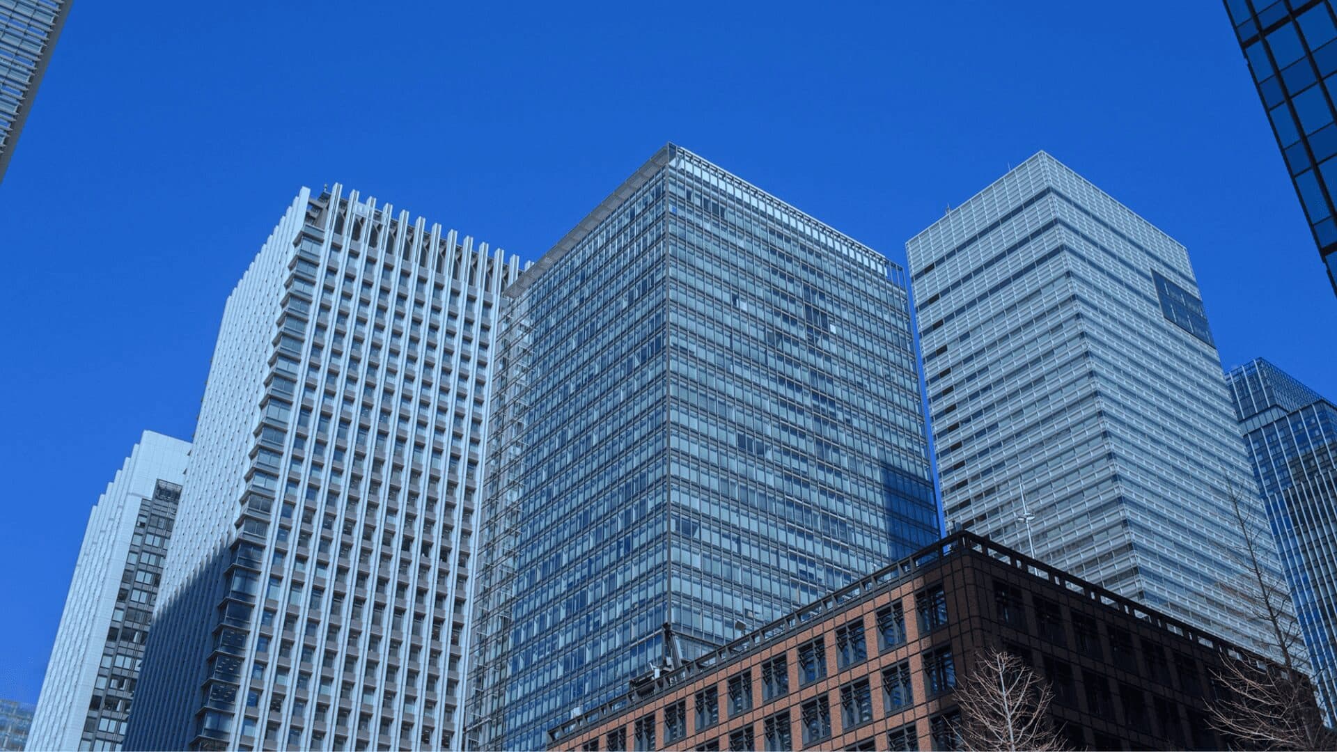 自治体連携・空き家相談(NPO事業)